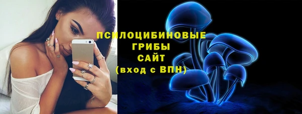 MDMA Заводоуковск