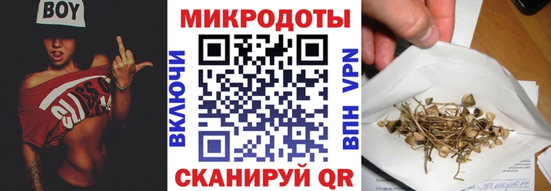Купить закладки  Каргат  Галлюциногенные грибы MAGIC MUSHROOMS 